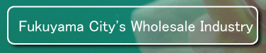 Fukuyama City's Wholesale Industry