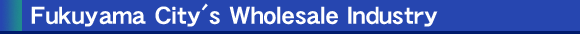 Fukuyama City's Wholesale Industry