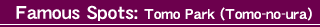 Famous Spots:Tomo Park(Tomo-no-ura)
